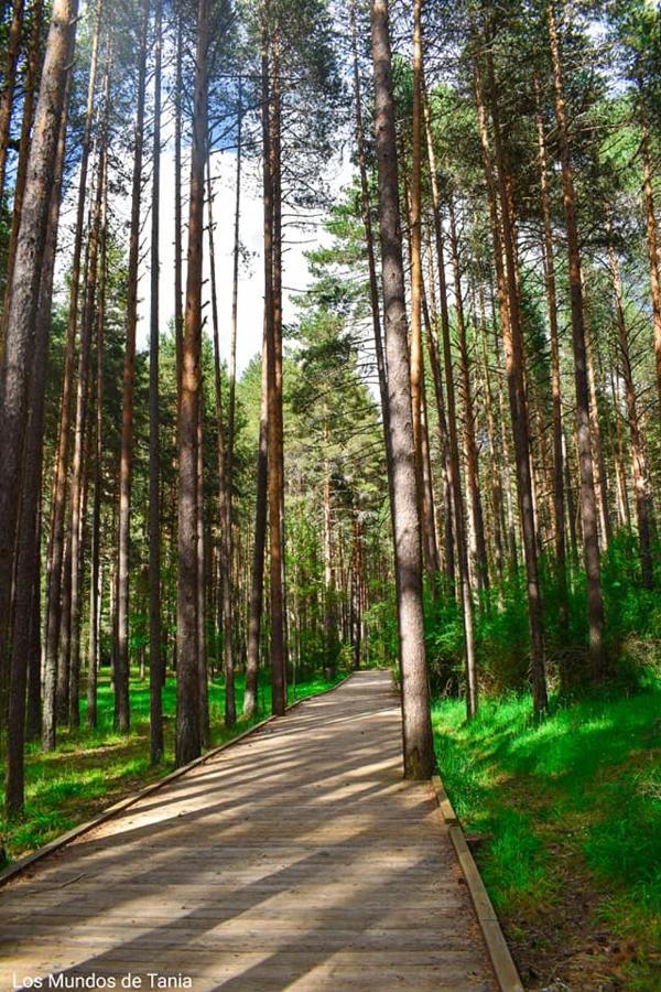 Alojamiento Rural El Morenal Tragacete Zewnętrze zdjęcie